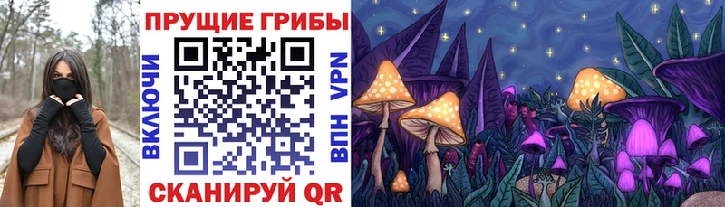 Псилоцибиновые грибы Psilocybine cubensis  сколько стоит  Афипский 